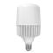 LED лампа VIDEX A145 100W E40 5000K