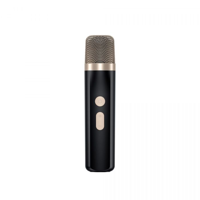 Портативна колонка з караоке HAVIT HV-SK895BT 6W RGB Black
