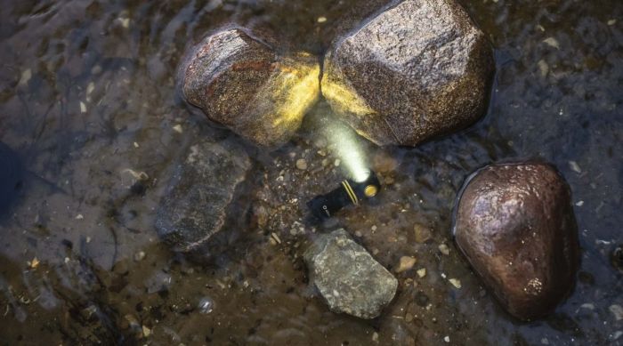 Портативний світлодіодний ліхтарик Armytek Elf C1 White 1000Lm 6500K