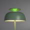 LED лампа настiльна з акумулятором VIDEX VL-TF24G 8W 4000K+RGB Green