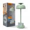 LED лампа настiльна з акумулятором VIDEX VL-TF24G 8W 4000K+RGB Green