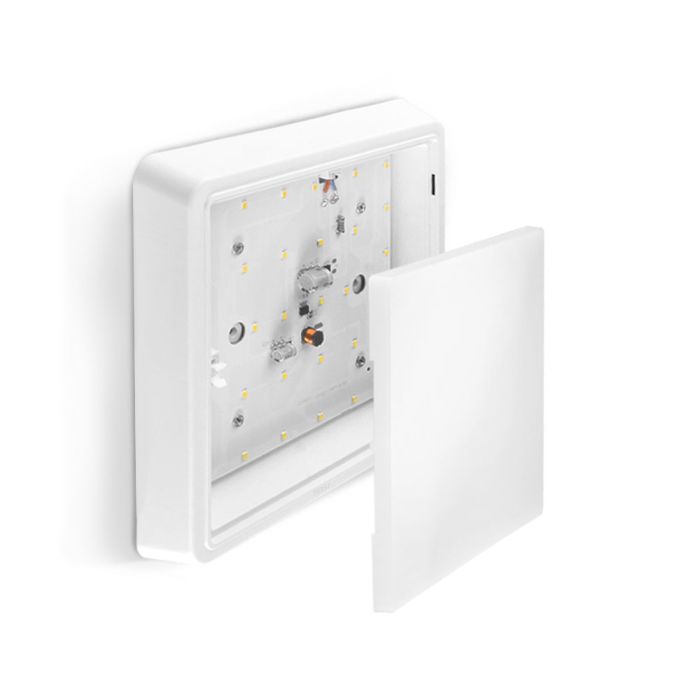 LED Светильник квадратный накладной TITANUM 24W 5000K