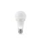 LED лампа акумуляторна TITANUM A68 10W E27 4000K 220V